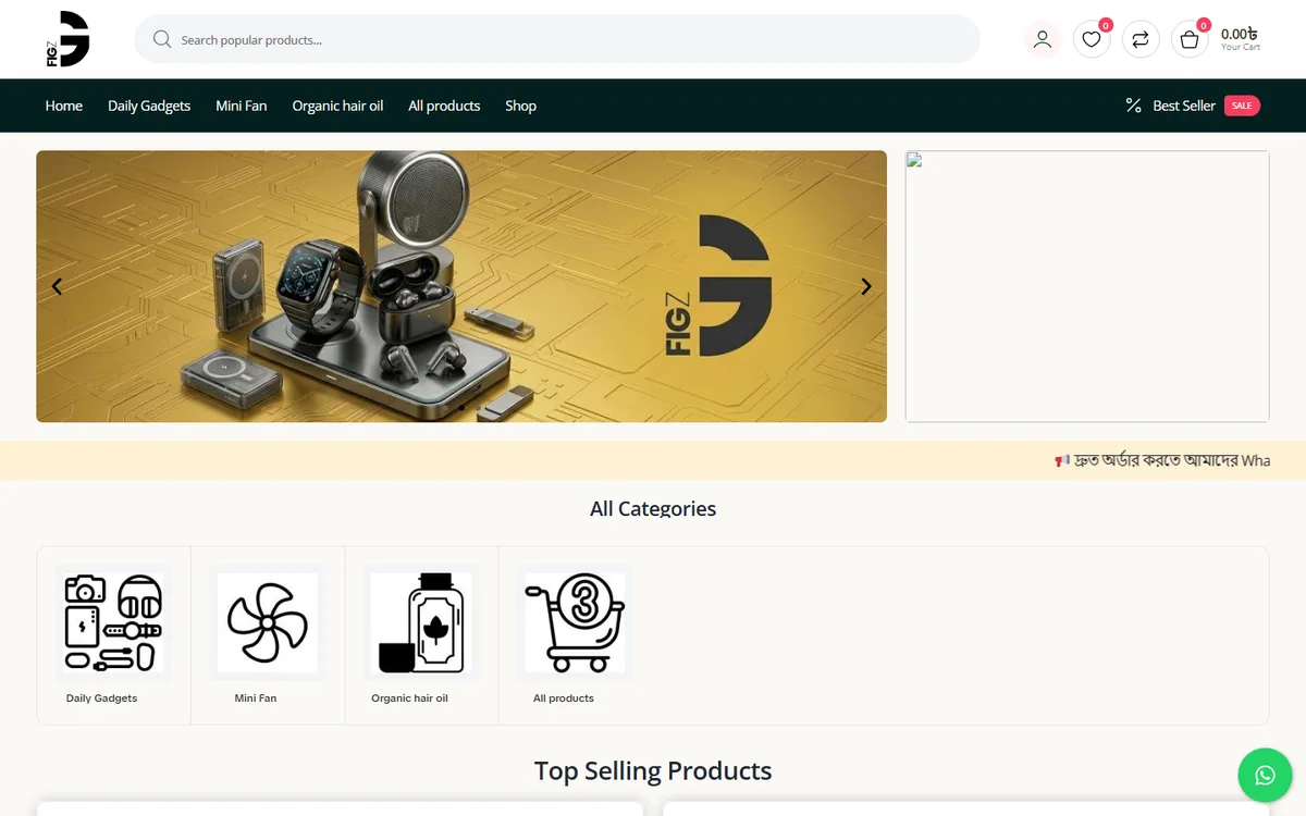 fig-z.com website design project by ZAMAN IT
