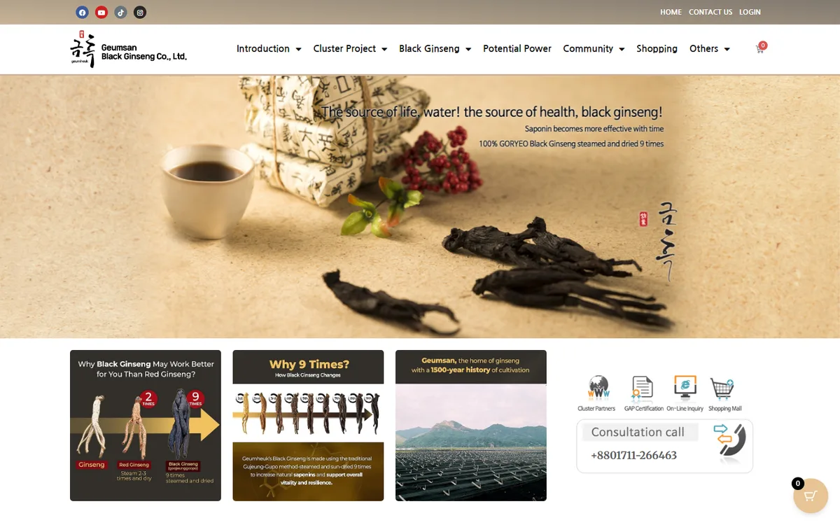 gbgkr.com website design project by ZAMAN IT