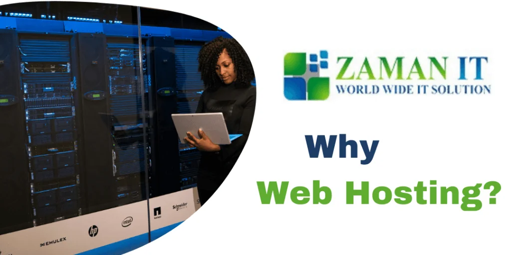 Why Web Hosting?