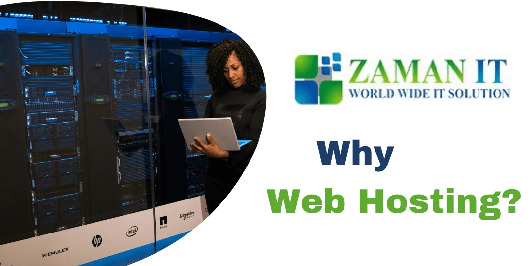 Why Web Hosting?